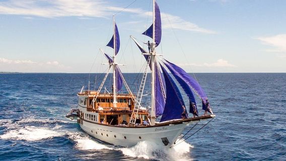 Pirates' Bay Cruising