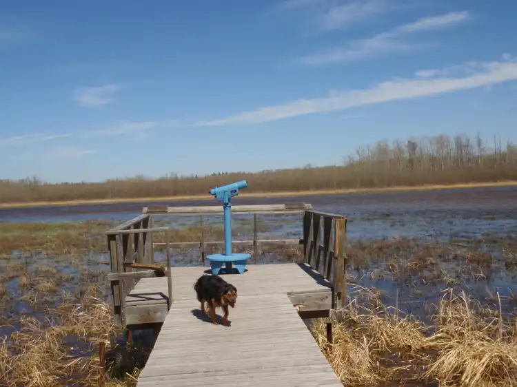 Hotels in Spruce Grove