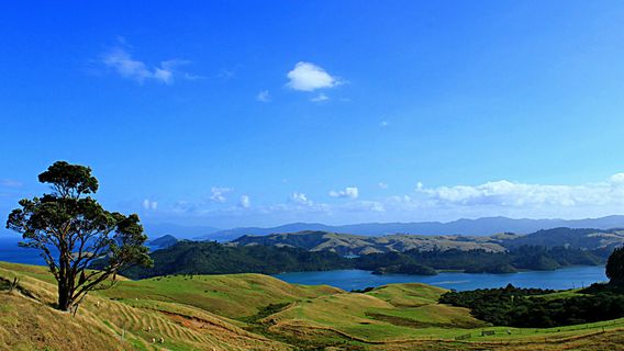 Coromandel