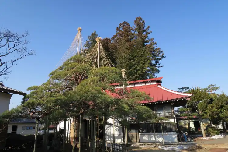 Miyota