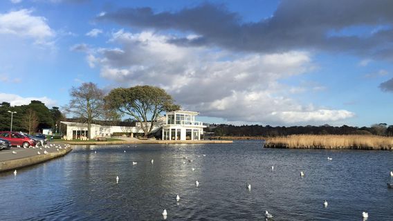 Poole Park