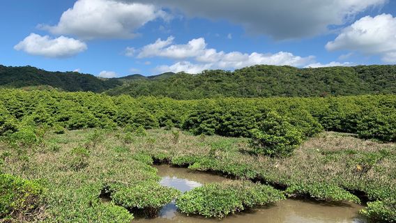 Nago