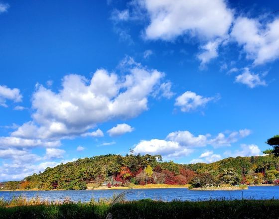 白河市 自由行套票