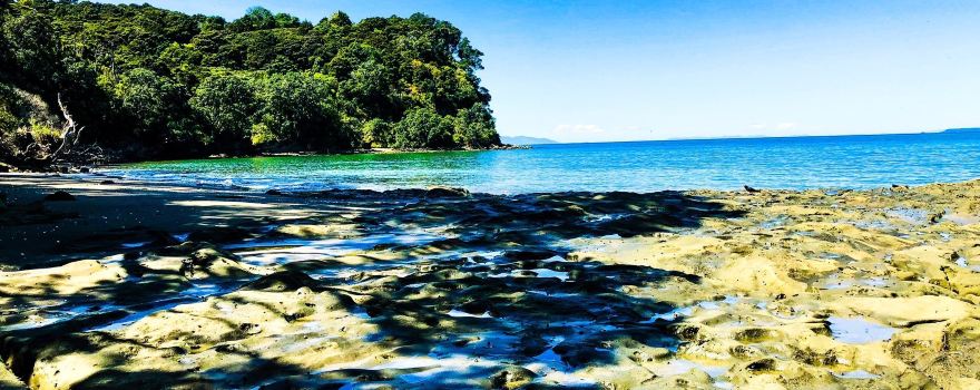 Mahurangi West