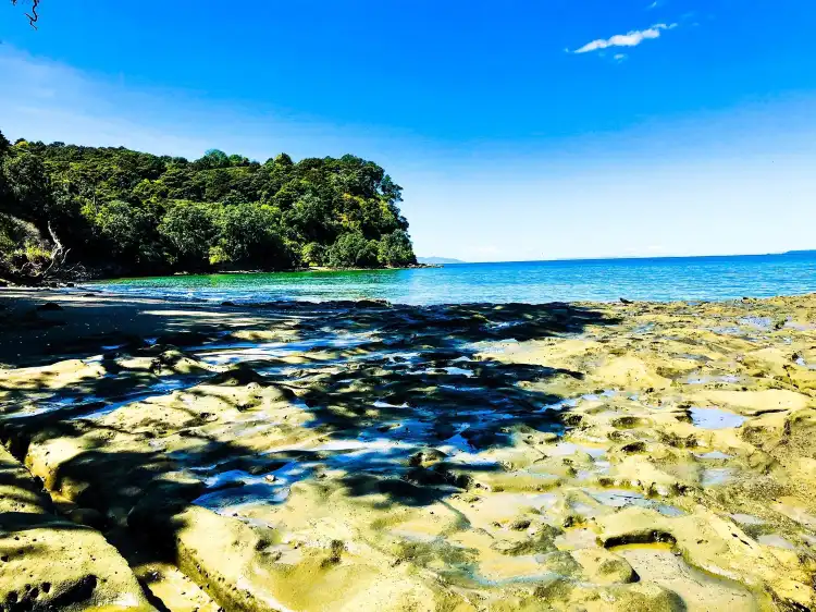 Hotels near Mahurangi Regional Park