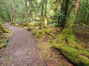 Franklin-Gordon Wild Rivers National Park
