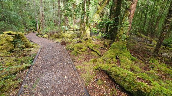 Franklin-Gordon Wild Rivers National Park