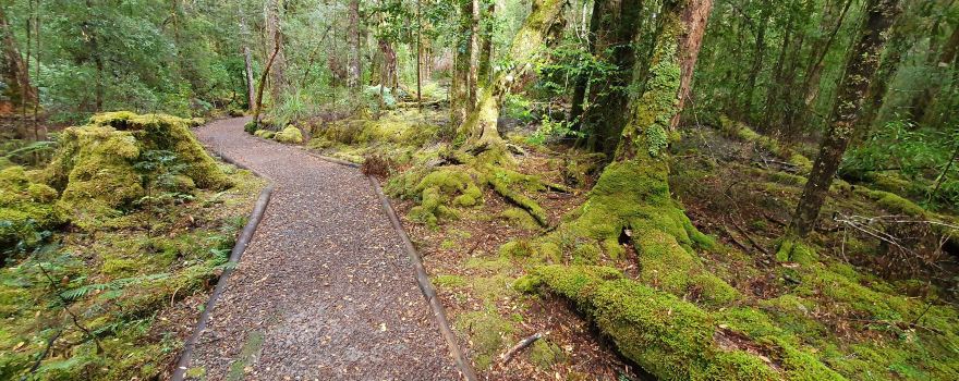 Franklin-Gordon Wild Rivers National Park