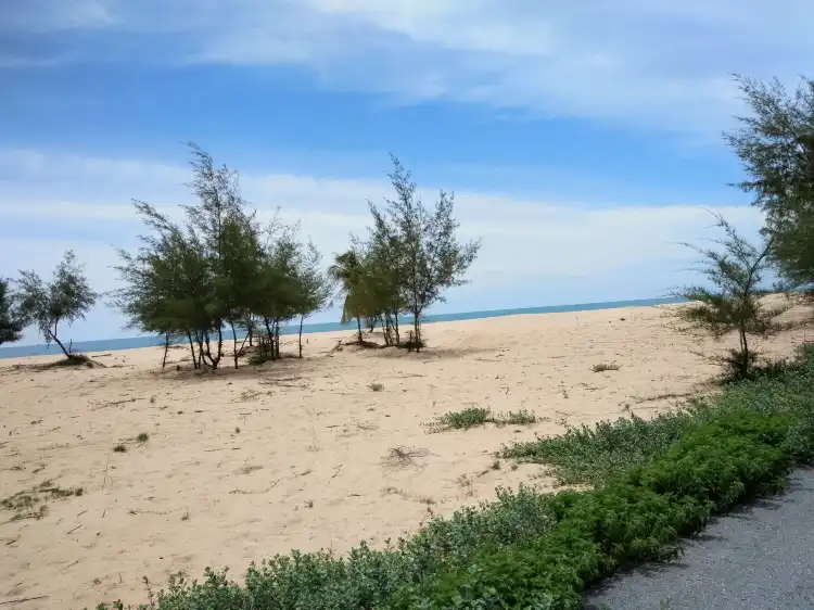 Hotels in Yaring District