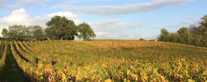Chateau Haut-Pradot