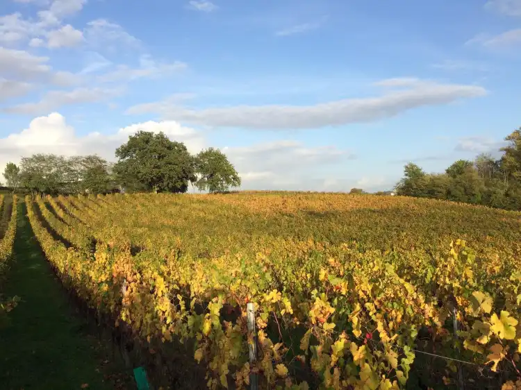 Отели в г. Моризес