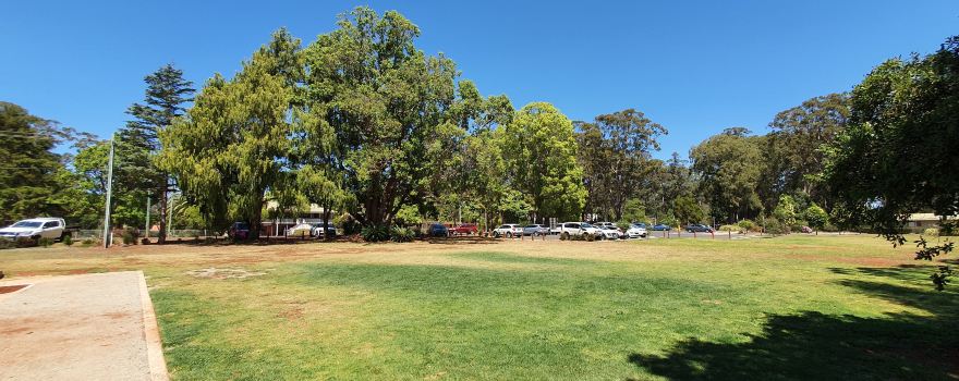 Highfields