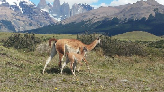 Turismo Fin del Mundo