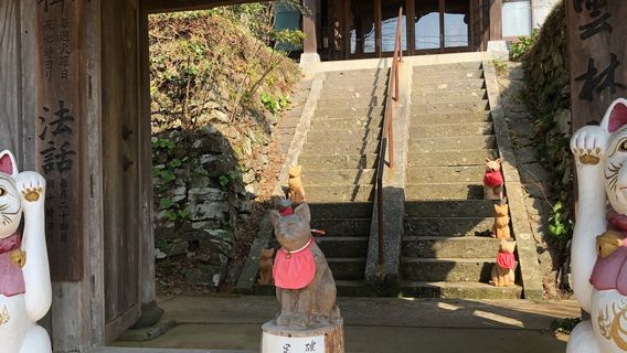Unrinji (Cat Temple)