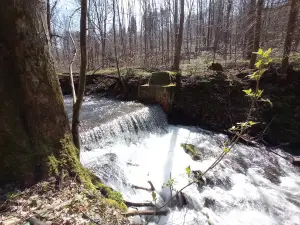 Gwarkowa Perć