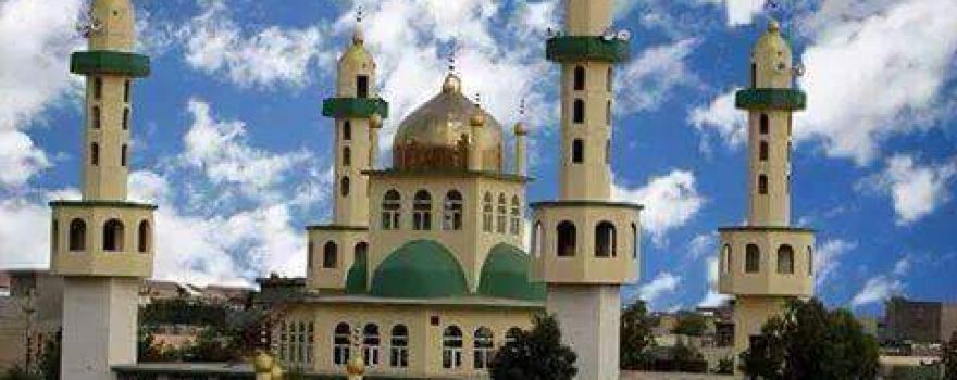 Mala Tareq Mosue