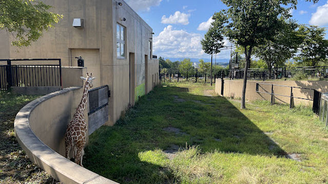 Giraffe House