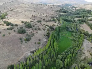 Aliağa Stream