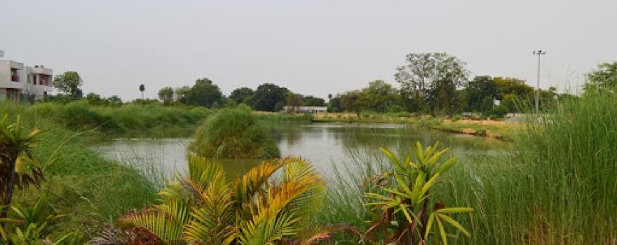 RPSCL Township Lake