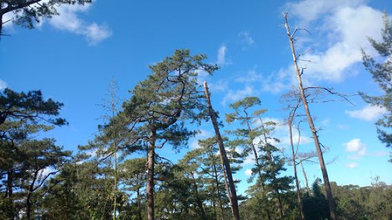 Wright Park