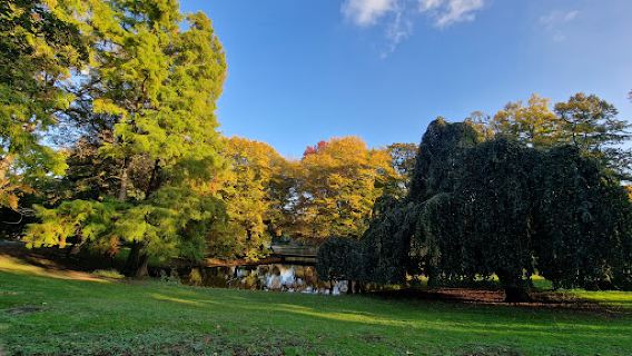 Stadtgarten Neuss