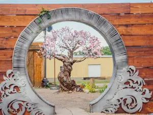 John Lopez Studio