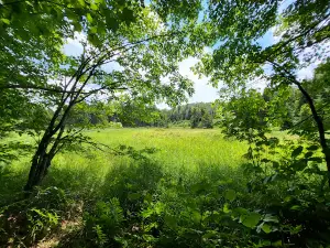 Siamese Ponds Wilderness
