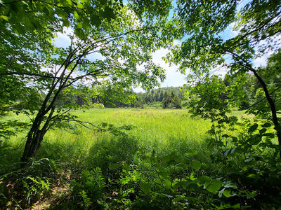Siamese Ponds Wilderness