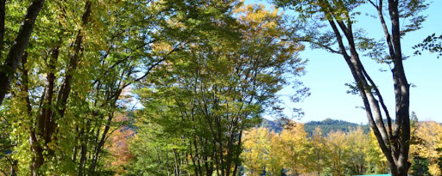 Subari Camping Ground