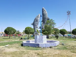 Picnic Area