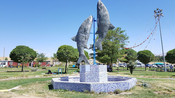 Picnic Area
