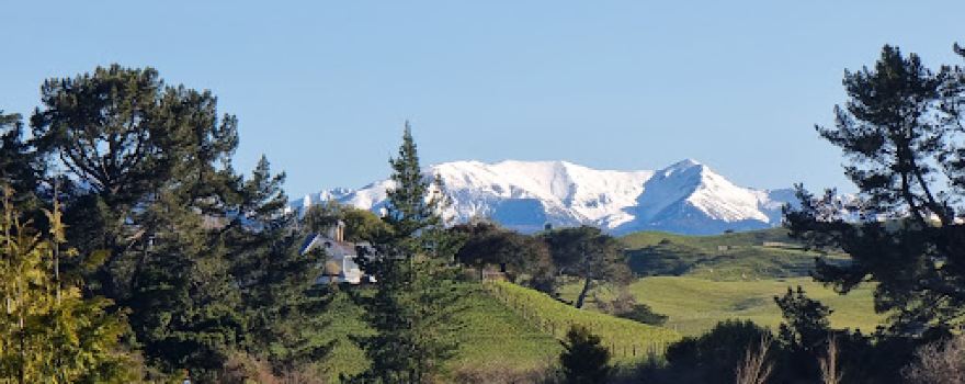 Makotuku Domain Camp