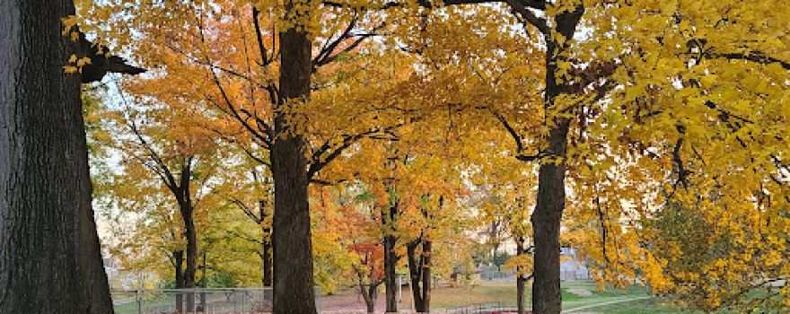 East Side Park