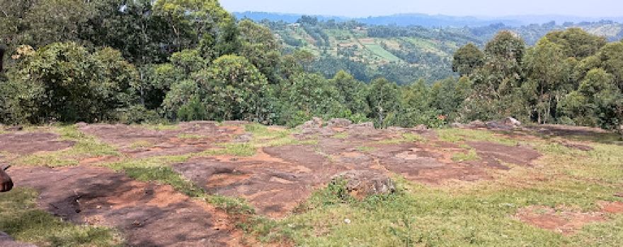 Manga hills Holy Cross