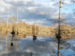 Bluff Lake