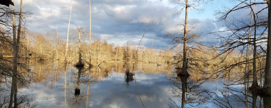 Bluff Lake