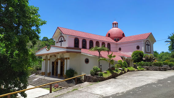 Our Lady of the Most Holy Rosary Seminary