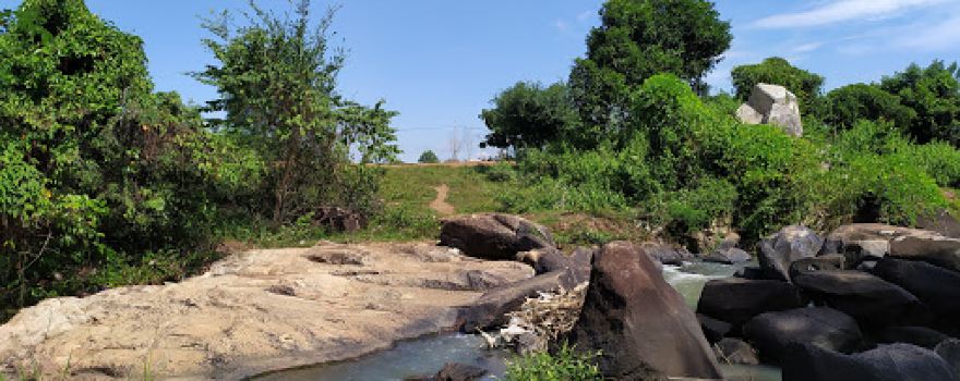 Đồi Cừu Suối Nghệ