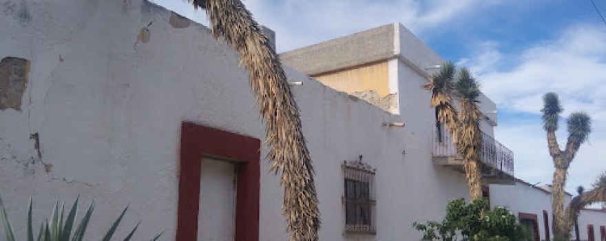 Árbol del llorón de Icamole Porfirio Diaz