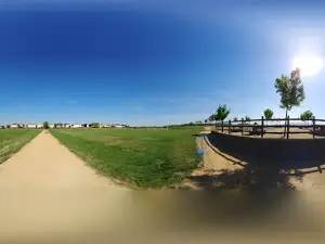 Soccer Park
