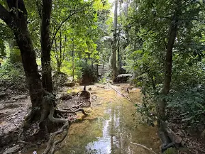 Taman Eko-Rimba Bukit Ayer