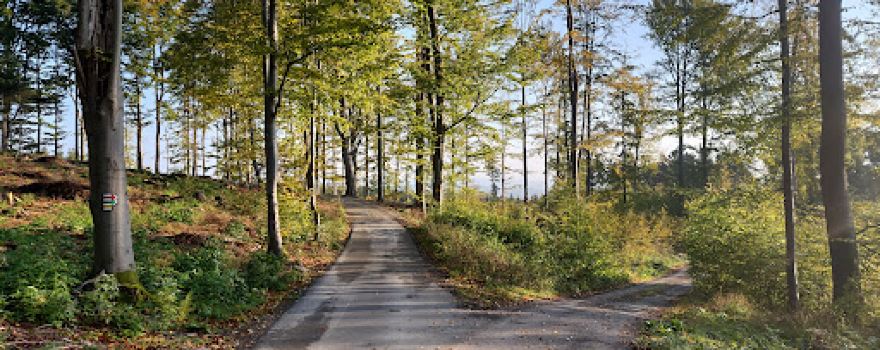 Přírodní park Čeřínek