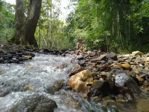 Hutan Lipur Bukit Wang