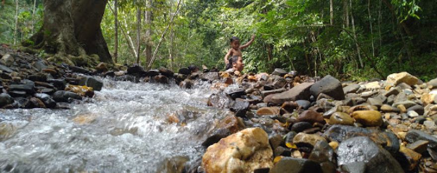 Hutan Lipur Bukit Wang