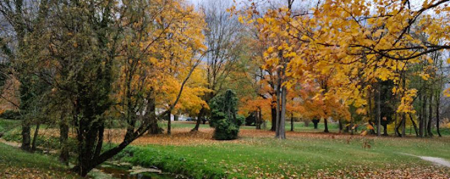 Parc de l'Ovalie