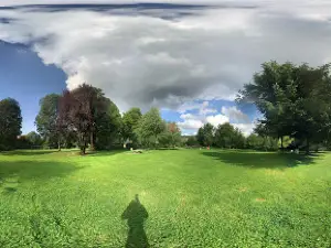 Vitelliusbad