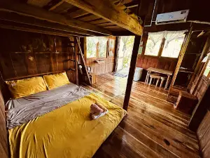 KDL Farmstay: Hoa Rừng U Minh