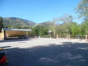 Central Park