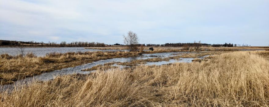 Erstad Prairie (Southern Wisconsin Bird Alliance)