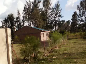 Mawazo